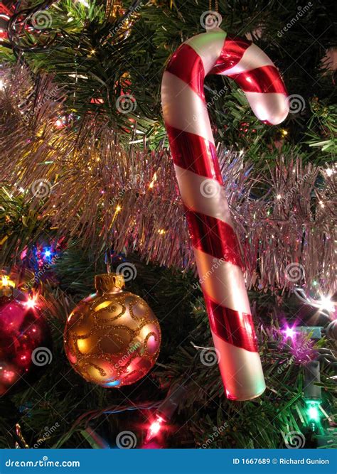 Christmas Colors stock image. Image of cane, white, ornaments - 1667689