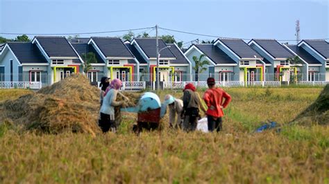 Pengaruh Konversi Lahan Pertanian Menjadi Lahan Permukiman Di Negara