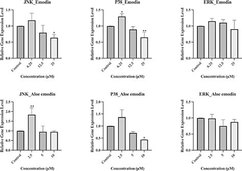 Effects Of Emodin And Aloe Emodin On MAP Kinase Genes JNK P38 ERK