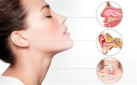 Qué es la otorrinolaringología Centro Integral de Nariz