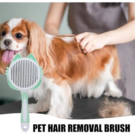 Brosse Autonettoyante Pour Chien Et Chat Toilettage Pour Chien Et