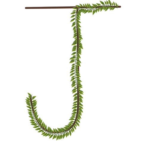 Alphabet A Z Wrapped Around Fern Leaves 27245658 Png