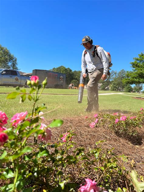 Discover Expert Lawn Management Near You