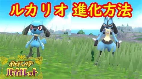 【リオル → ルカリオ やすらぎのすず】特殊進化方法 アイテム入手方法 攻略【ポケモン スカーレット・バイオレット】 ポケモン関連情報のまとめ動画