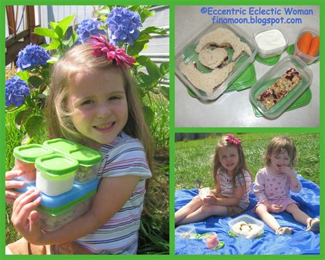 Eccentric Eclectic Woman Rubbermaid Lunchblox Sandwich Kit Review