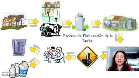 Proceso Técnologico de la Pasteurización de la Leche YouTube