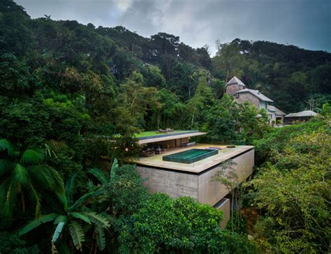 The Rainforest House