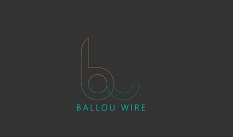 LOGO DESIGN FOR BW on Behance