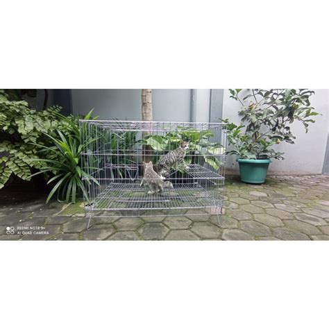 Jual Kandang Kucing 1 Tingkat Galvanis Shopee Indonesia