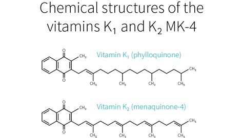 Vitamin K Structure