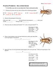 Sex Linked Genes In Fruit Flies Eye Color And Genotypes Course Hero