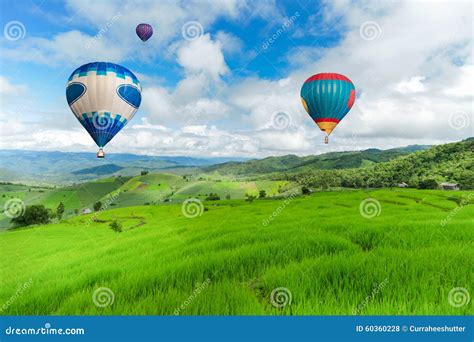 Balloon Flying On Rice Field Rice Field In Mountain Or Rice Terrace In