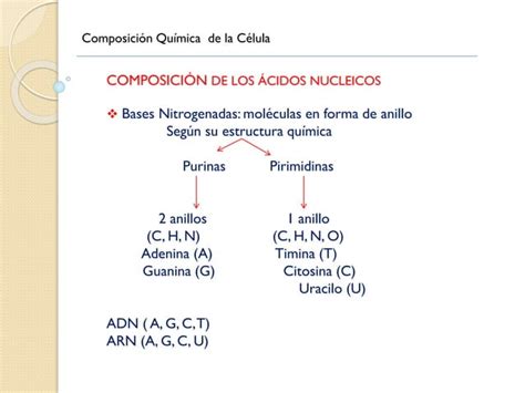 Bioelementos Y Biomol Culas Pdf