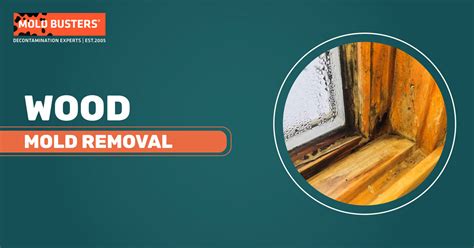 Mold on Wood | Mold Removal Services - Mold Busters