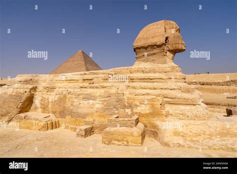 great sphinx  giza   great pyramid   background stock