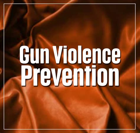 Gun Violence Prevention – Suzanne Ness State Rep Illinois 66