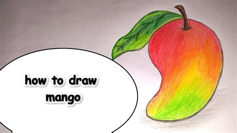 Easy Mango Drawing How To Draw Mango Step By Step Mango Drawing