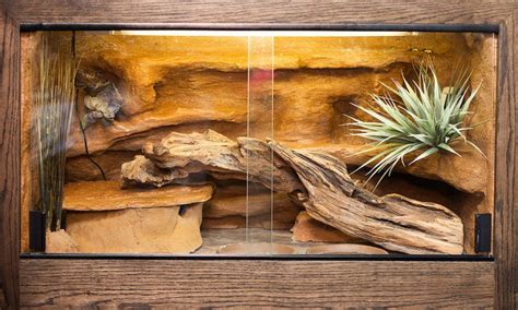 The Pefect Leopard Gecko Habitat