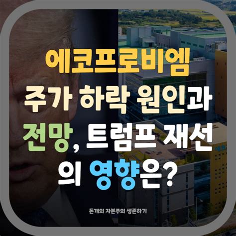 에코프로비엠 주가 하락의 이유와 전망