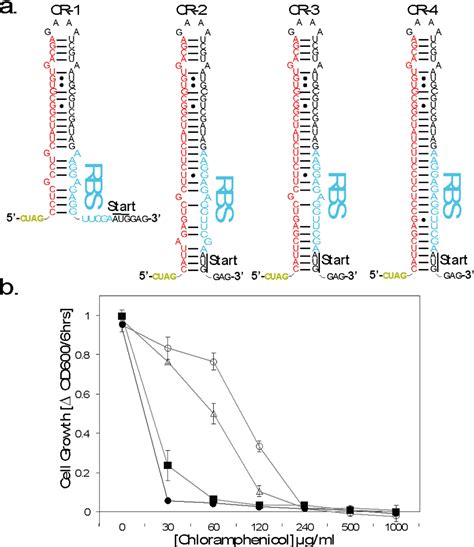 Figure 2 From Tunable Riboregulator Switches For Post Transcriptional