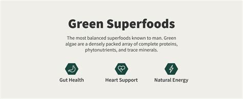 Amazon Snap Supplements USDA Organic Spirulina Chlorella Capsules