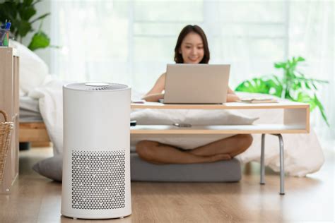 Do Air Purifiers Clean The Air Iupilon