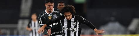 Botafogo na zona de rebaixamento do Brasileirão e Palmeiras na briga