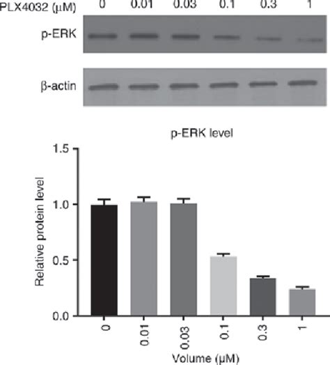 Figure From Egfr Inhibition Enhances The Antitumor Efficacy Of A