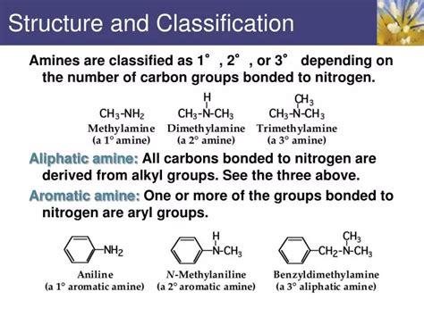 Ppt Structure And Classification Powerpoint Presentation Free