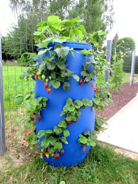 Easy Diy Gardening Ideas With Vegetables That Surprised You