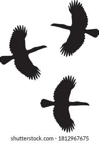 Illustration Silhouette Bird Toucan Flying Sky Stock Vector (Royalty Free) 1812967675 | Shutterstock