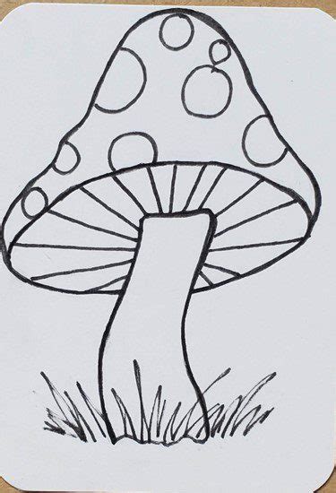 Mushroom Outline