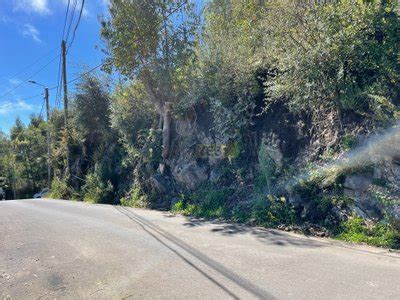 Terreno à venda em Caminho Ponte Concelo Ribeirinha Camacha Santa