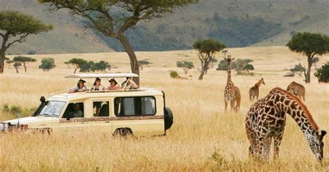 Safari De D As En Lodge De Gama Media En Tanzania Getyourguide