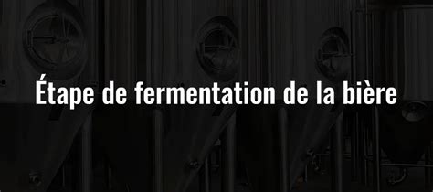 Tape De Fermentation De La Bi Re Groupe Micet