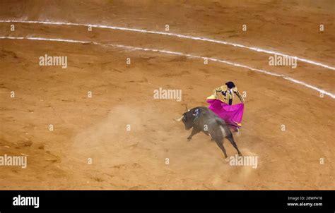 Bullfight at Plaza Mexico bullring, Mexico City, Mexico Stock Photo - Alamy