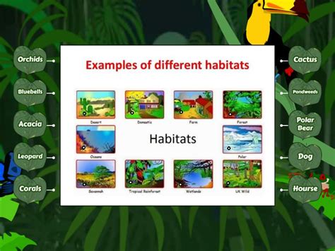 Habitats of Plants and Animals - Labelled diagram