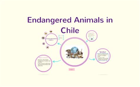 Endangered Animals in Chile by Josefa Seissus on Prezi