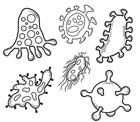 Outline Bacteria Sketch On A White Background Vector Art At