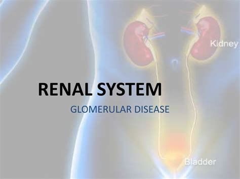 Few Glomerular Diseases Ppt