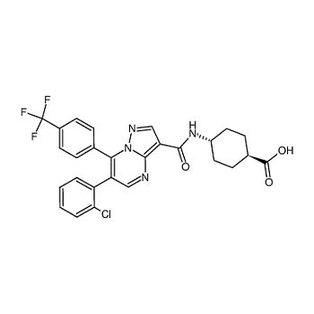 J K 2 Morpholin 4 yl 1 piperazin 1 yl ethanone 98 实验室用品商城