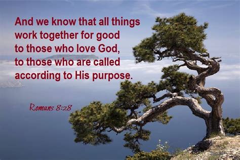 Romans 828 And We Know That All Things Work Together For Good To Those