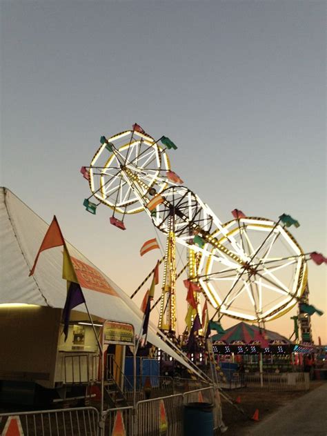 Manatee County Fair | Manatee county, Manatee county florida, Manatee