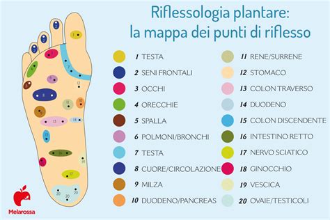 Riflessologia Plantare Proprietà E Benefici Dellantica Tecnica Olistica