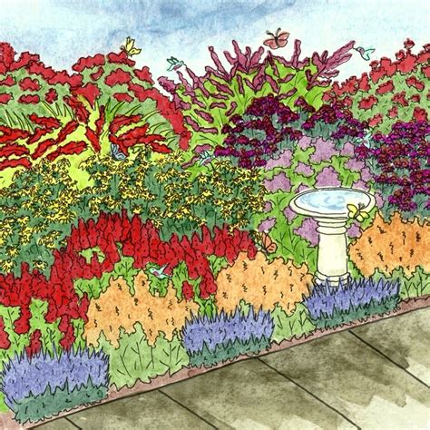 Butterfly and Hummingbird Pre-Planned Garden | American Meadows