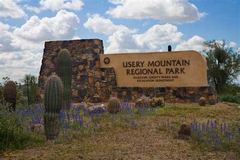 Info on hiking in Usery Mountain and other local trailheads - LGO