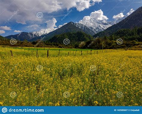 View From Tibet Background Stock Image Image Of Mountains 142585607