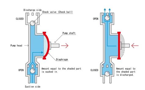 Diaphragm Pump Diagram