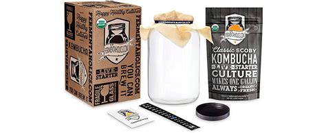 Amazon Kombucha Essentials Kit Includes Usda Organic Kombucha