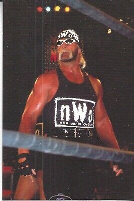 Hollywood Hulk Hogan 4 Collectible WCW/NWO Photos 4X6" | eBay